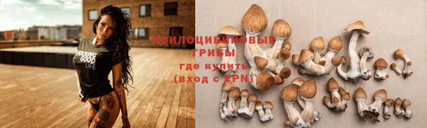 PSILOCYBIN Алексин