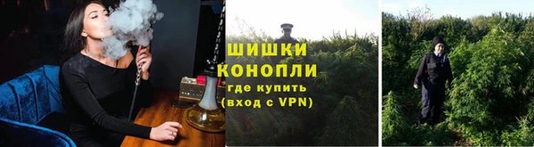 ешки Алзамай