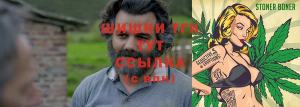 ешки Алзамай